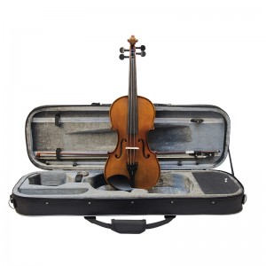 Stentor Graduate Violin Outfit 4/4