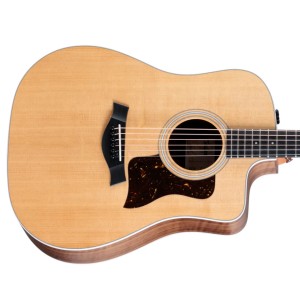 Taylor 210ce Walnut / Solid Spruce - Natural