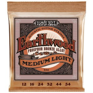 Ernie Ball 2146 Acoustic Guitar Strings - Earthwood Phosphor Bronze (12-54)