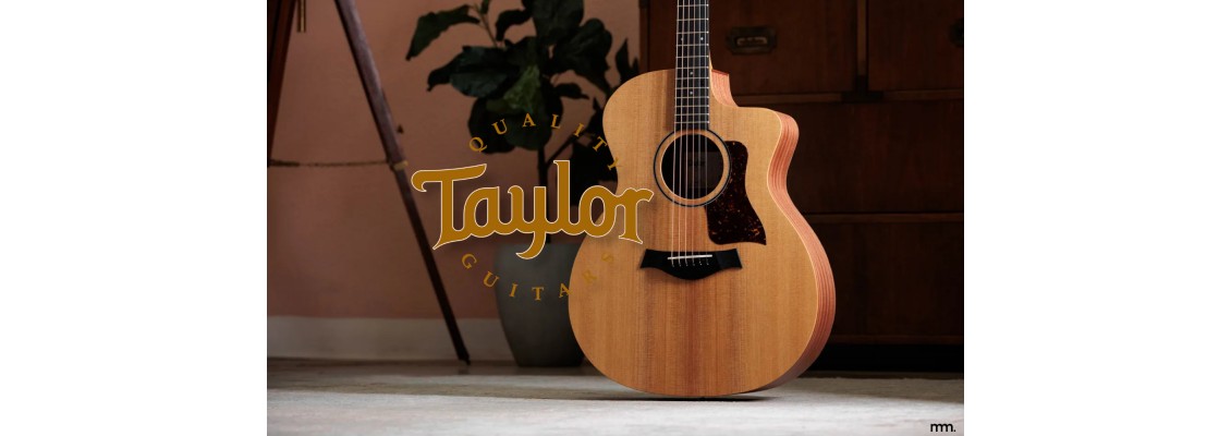 7 Brand New Taylor Acoustic Guitars at Musicmaker Dublin