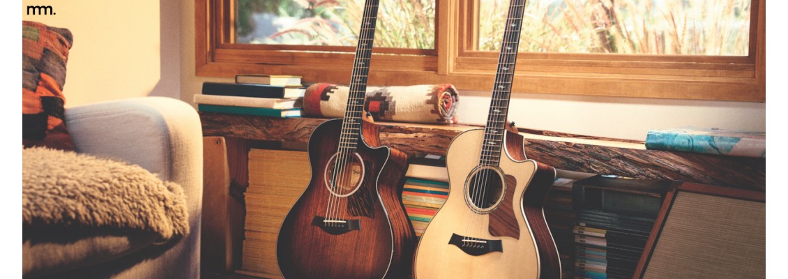 Taylor Next Generation Guitars | The Future of Acoustic