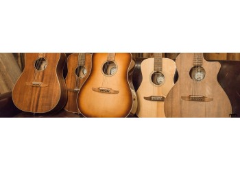 Which Alvarez Guitar Body Shape Is Right For You?