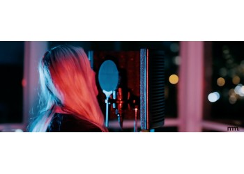 The Greatest Recording Microphones Under €500 | sE Electronics