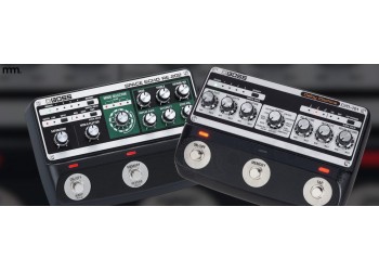 Boss DM-101 vs RE-202 | Analog vs Digital Delay