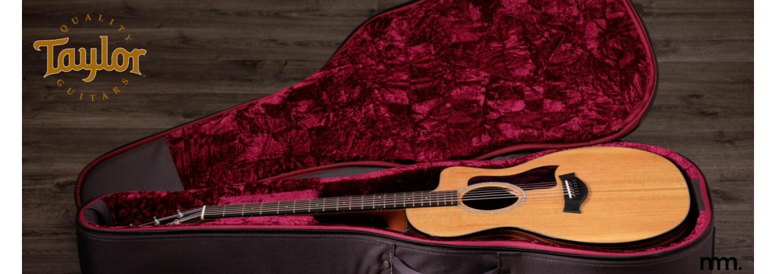 New Taylor Guitars Ireland: BT1, GS Mini, 214ce & 314ce