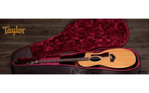 New Taylor Guitars Ireland: BT1, GS Mini, 214ce & 314ce