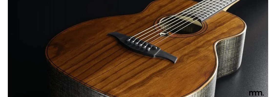 Lâg Guitars Have Arrived at Musicmaker. A Cheesy Muse