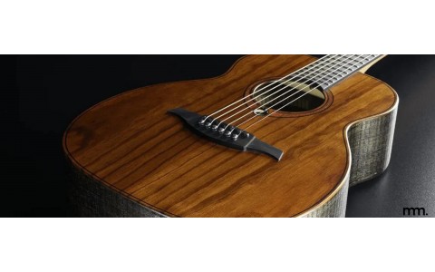 Lâg Guitars Have Arrived at Musicmaker. A Cheesy Muse