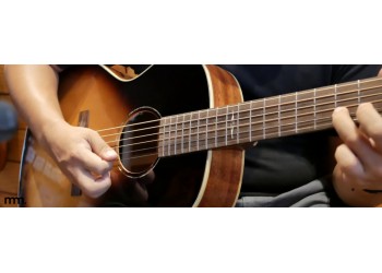 Alvarez Delta Blues Guitars: Vintage Tone, Modern Feel