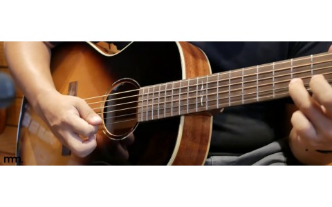 Alvarez Delta Blues Guitars: Vintage Tone, Modern Feel