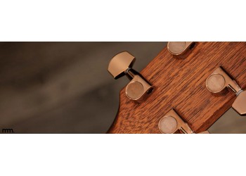 Taylor Guitars In Stock at Musicmaker: Pure Acoustic Magic