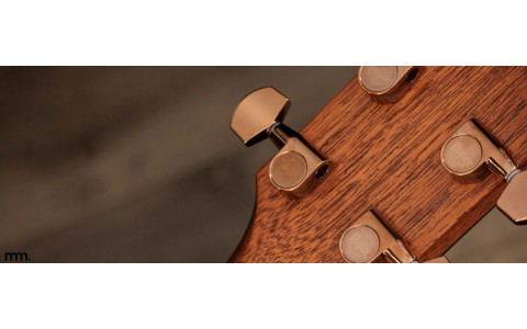 Taylor Guitars In Stock at Musicmaker: Pure Acoustic Magic