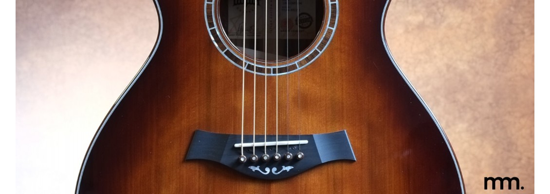 Taylor Catch Custom C12e Harvester – A Rare Masterpiece