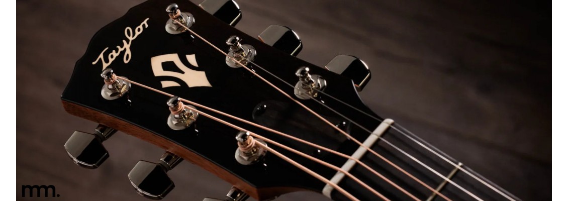 Brand New Taylor Gold Label 517e & 717e at Musicmaker