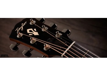 Brand New Taylor Gold Label 517e & 717e at Musicmaker