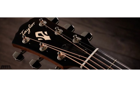 Brand New Taylor Gold Label 517e & 717e at Musicmaker