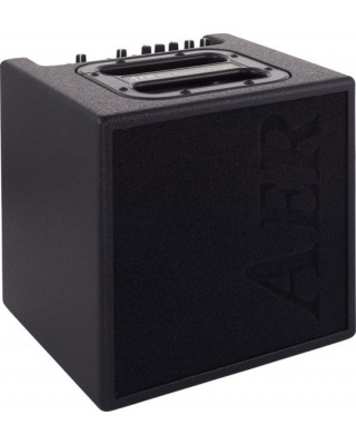 AER Alpha 40W Acoustic Combo Amp