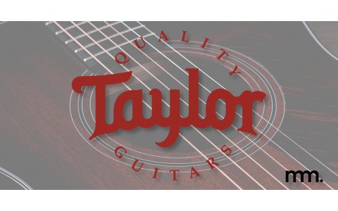 A New Drop of Taylor Guitars Has Landed at Musicmaker Dublin!