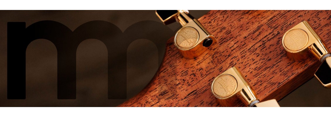 New Taylor Guitars Drop at Musicmaker Dublin | 2025 Lineup New Taylor Guitars Drop at Musicmaker Dublin | 2025 Lineup