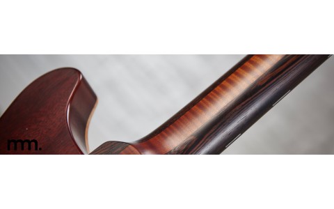 Guitar Parts Explained: Acoustic & Electric Anatomy