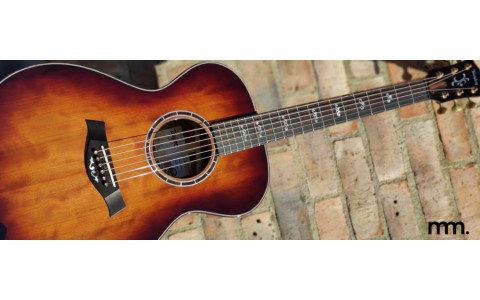 Taylor C12e Harvester: The 2025 Catch Custom Masterpiece