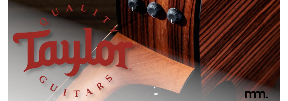 New Taylor Guitars in Dublin: The Drop at Musicmaker