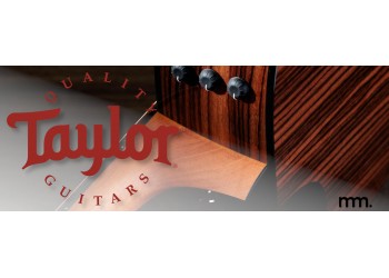 New Taylor Guitars in Dublin: The Drop at Musicmaker