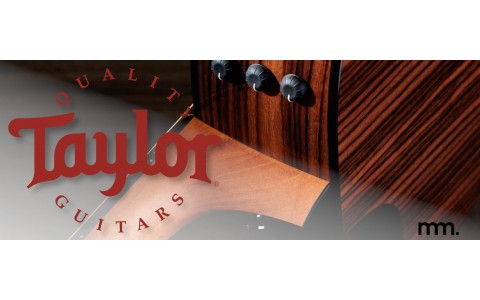 New Taylor Guitars in Dublin: The Drop at Musicmaker
