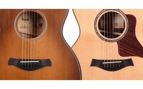A Trio of Incredibly Tasty Taylors Available at Musicmaker