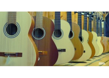 Wood Matters: A Deep Dive into Guitar Tonewoods