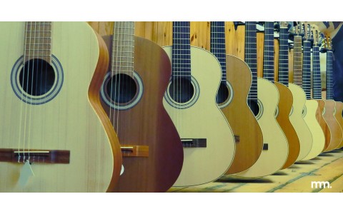 Wood Matters: A Deep Dive into Guitar Tonewoods