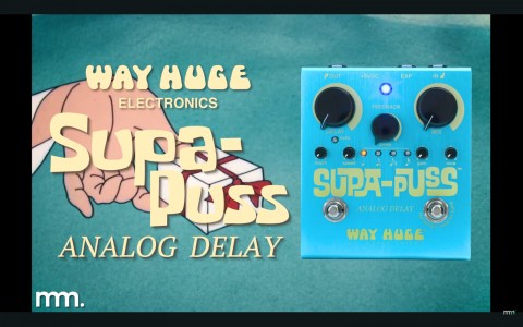 Pedal Of The Month Nov '24 - Way Huge Supa Puss Analog Delay
