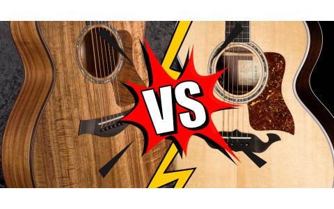 Taylor 724ce Koa vs Taylor 815e Legacy: Acoustic Combat!