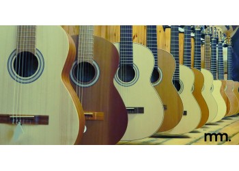 Top 5 Best Acoustic Guitars for Beginners at Musicmaker