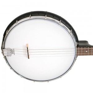 Gold Tone Acoustic composite 4-string AC-4 Banjo