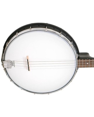 Gold Tone Acoustic composite 4-string AC-4 Banjo