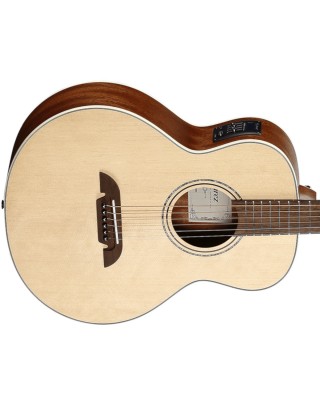Alvarez ALJ2E Artist Series Little Jumbo Solid Top with Gigbag
