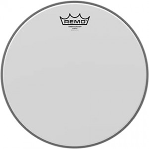 Remo 12