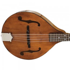 Barnes & Mullins BM600 Wimborne Mandolin