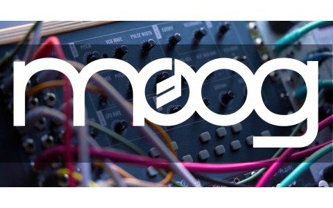 Moog Synthesizers - Back in Stock at Musicmaker!!