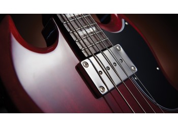 The 5 Best Bass Guitars for Beginners - Lords of Low-End
