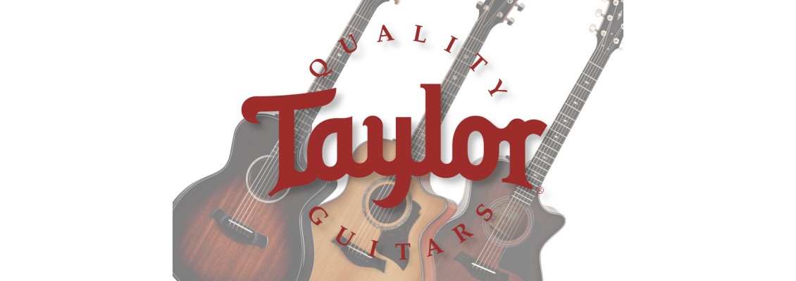 Super Sweet New Taylor Acoustic Guitars at Musicmaker