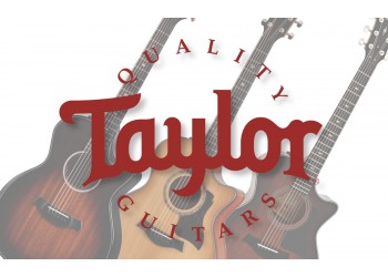 Super Sweet New Taylor Acoustic Guitars at Musicmaker