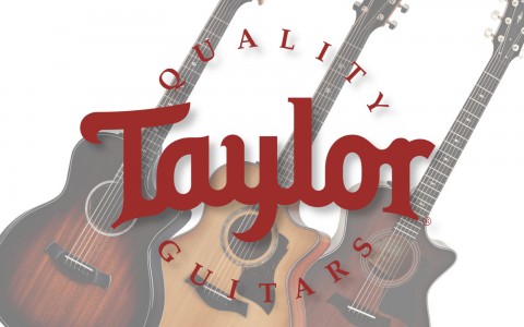 Super Sweet New Taylor Acoustic Guitars at Musicmaker