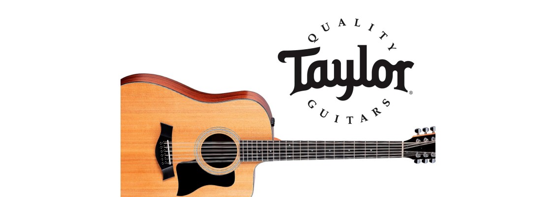 The New 150ce 12-String Dreadnought Cutaway from Taylor