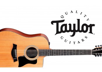 The New 150ce 12-String Dreadnought Cutaway from Taylor