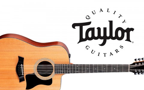 The New 150ce 12-String Dreadnought Cutaway from Taylor
