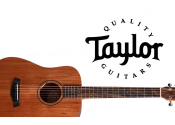 The Baby Taylor BT2 Mahogany: A Giant in a Small Package