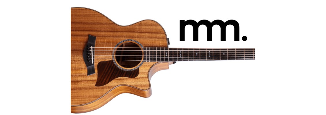 The 6 Top End Acoustic Guitars,  That You Need to Hear