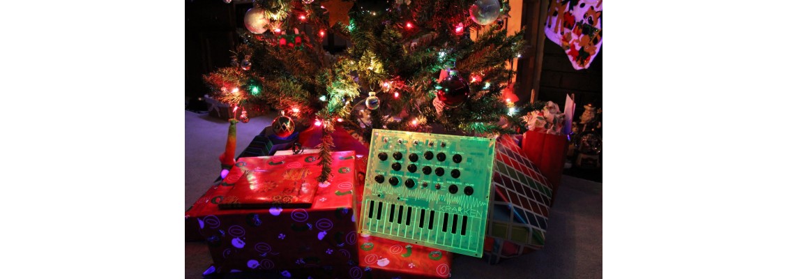 A Sonic Revolution: This Christmas....Synthesizers